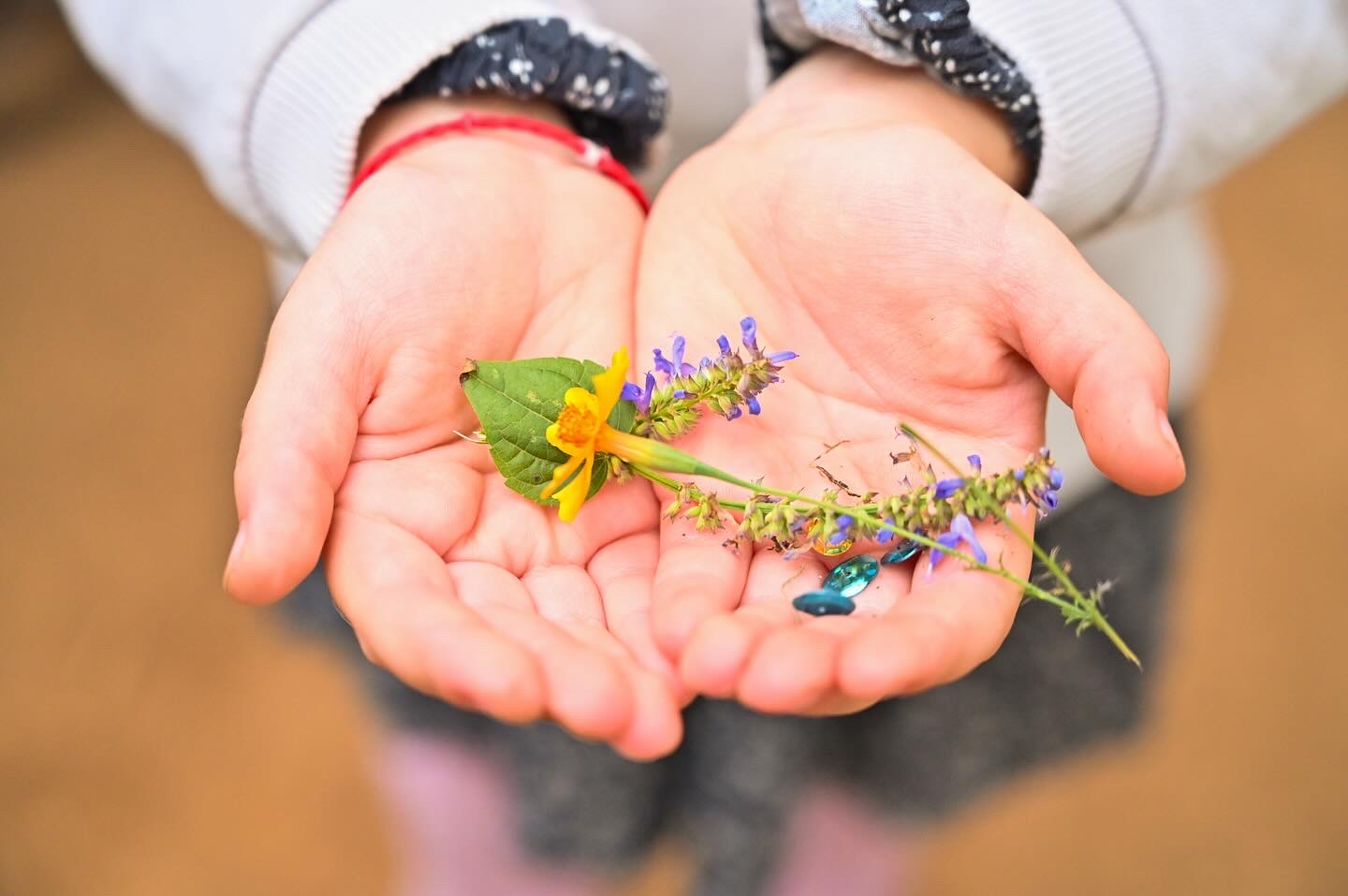 Aprendizaje y actividades