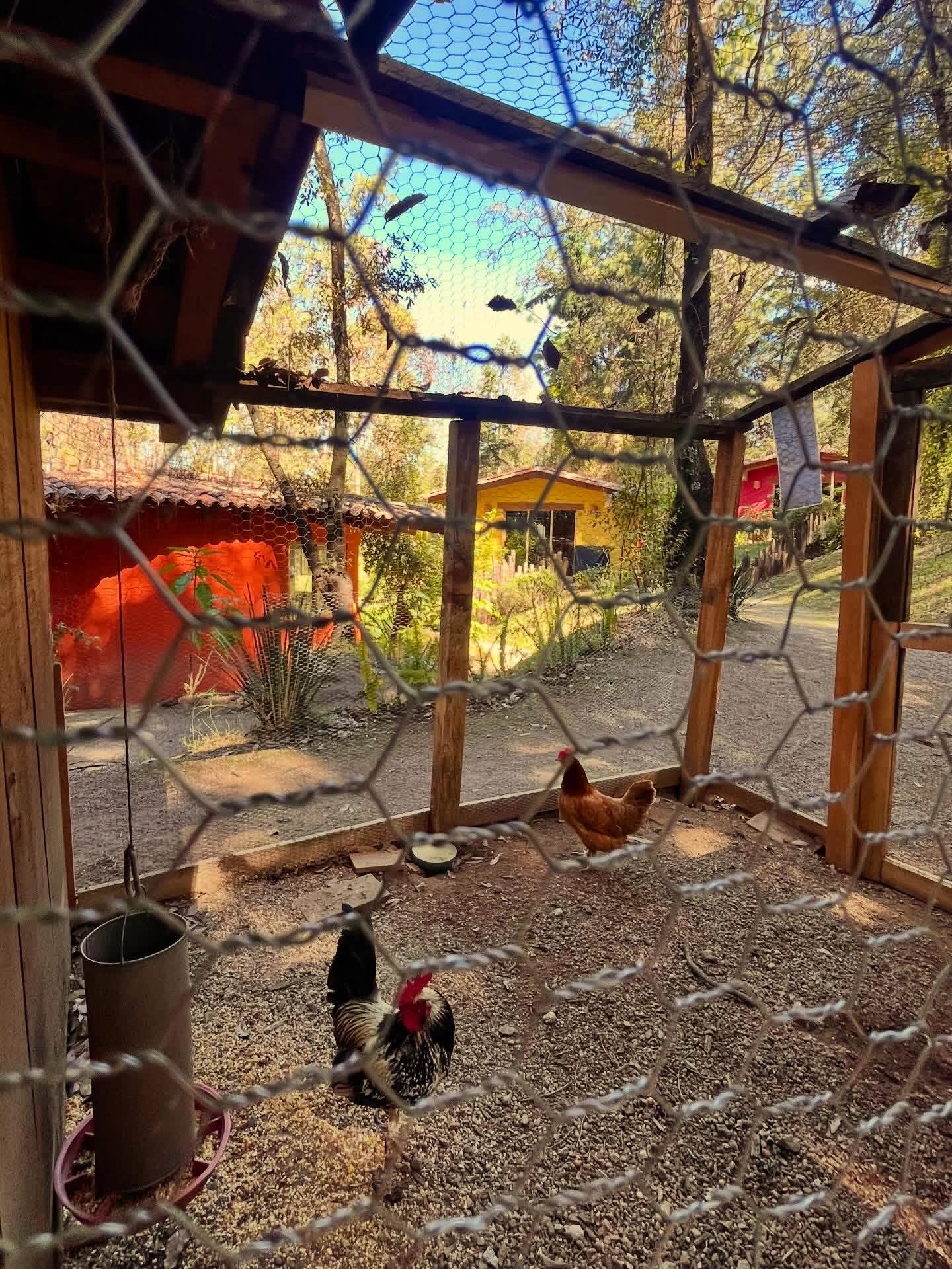 Niños en el ambiente Montessori