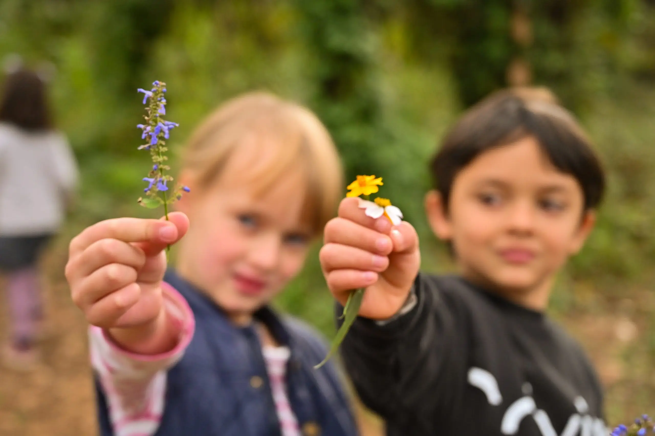 Aprendizaje en la naturaleza