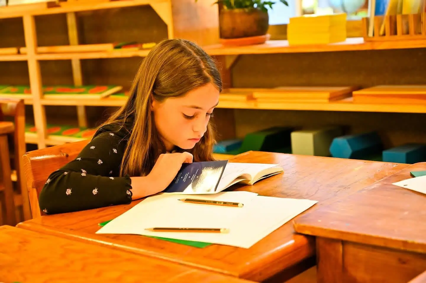 Educación Montessori Valle de Bravo